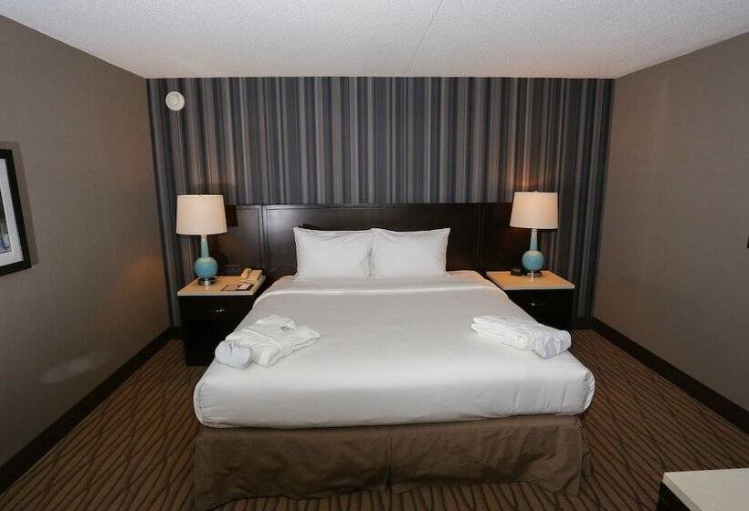 اتاق استاندارد با تخت دوبل, Wyndham Garden Westlake