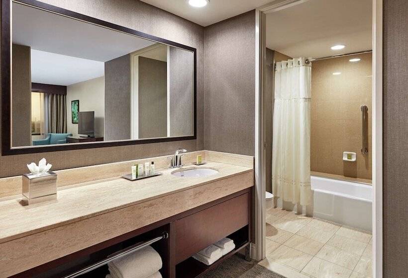 Suite, Hilton Houston Plaza/medical Center