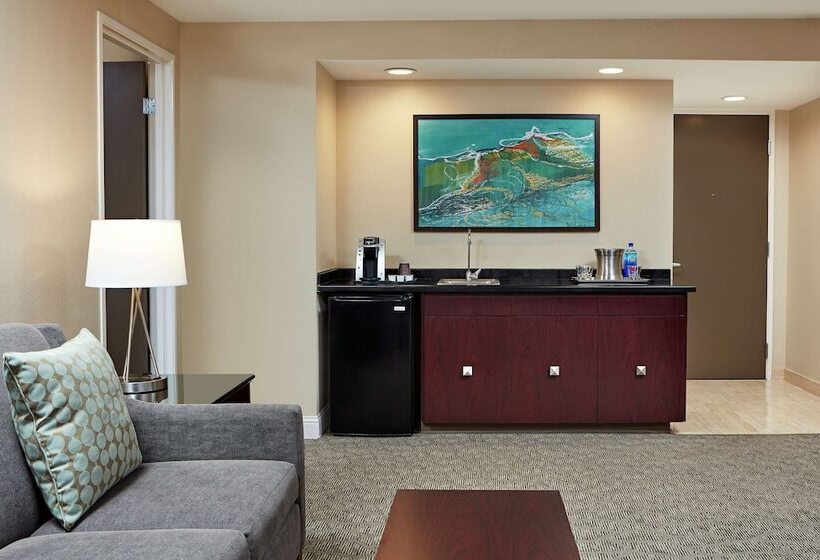 Suite, Hilton Houston Plaza/medical Center