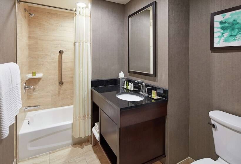 Suite Adapted for people with reduced mobility, Hilton Houston Plaza/medical Center