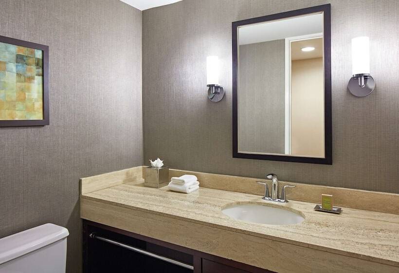 Suite Adapted for people with reduced mobility, Hilton Houston Plaza/medical Center