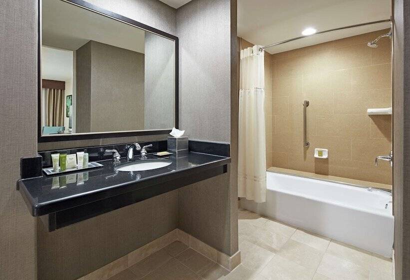 Suite Adapted for people with reduced mobility, Hilton Houston Plaza/medical Center