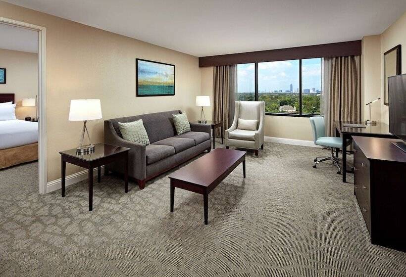 Suite Adapted for people with reduced mobility, Hilton Houston Plaza/medical Center