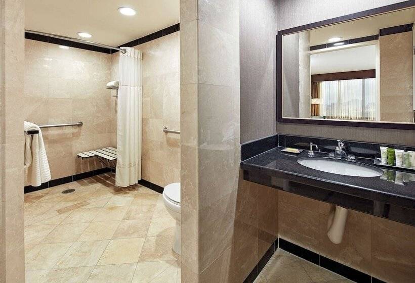 Standard Room Adapted for people with reduced mobility, Hilton Houston Plaza/medical Center