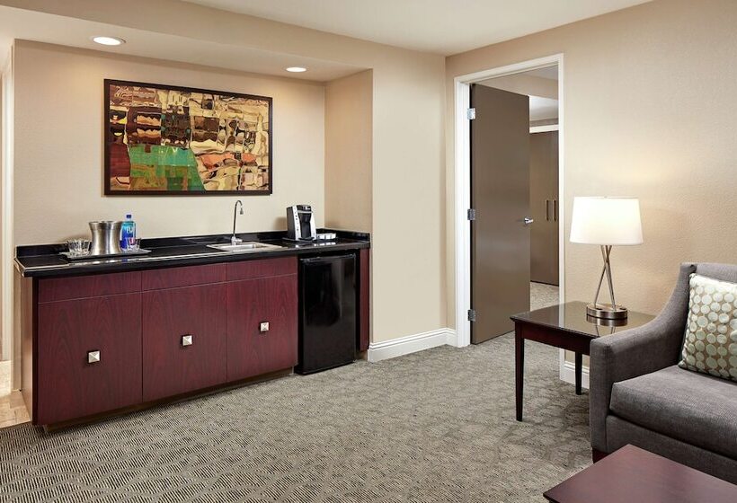 Standard Room Adapted for people with reduced mobility, Hilton Houston Plaza/medical Center