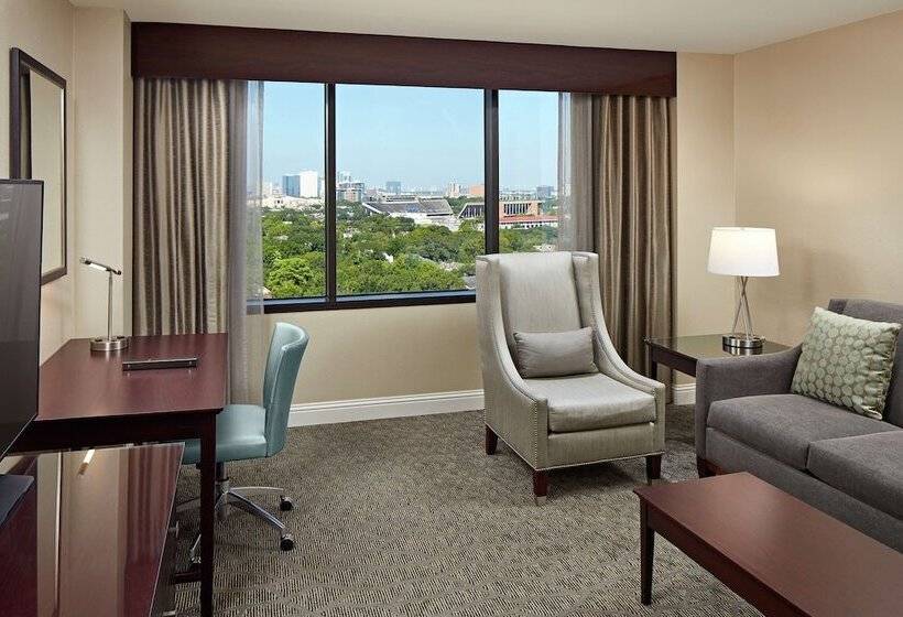 Suite, Hilton Houston Plaza/medical Center