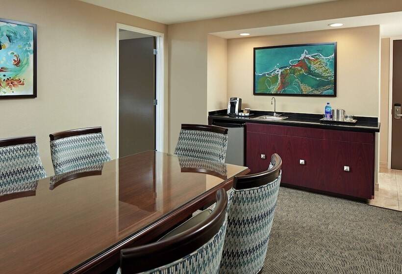 Suite, Hilton Houston Plaza/medical Center