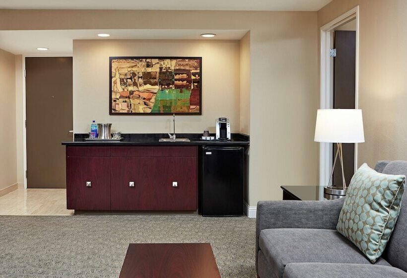 Suite, Hilton Houston Plaza/medical Center