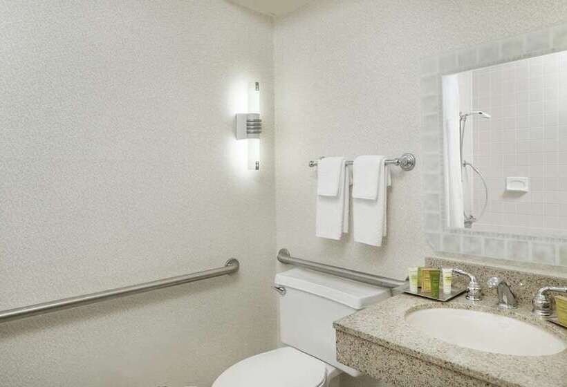 اتاق استاندارد, Hilton Houston Plaza/medical Center