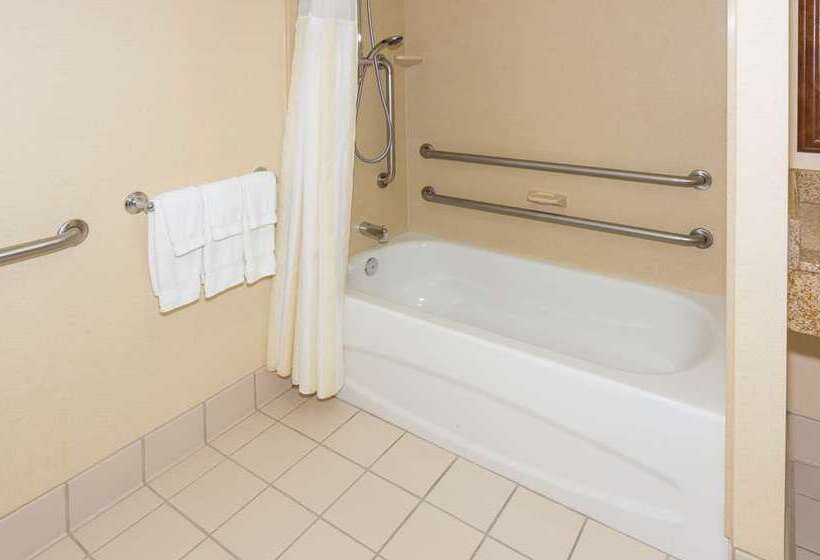 اتاق استاندارد برای معلولان, Hilton Houston Plaza/medical Center