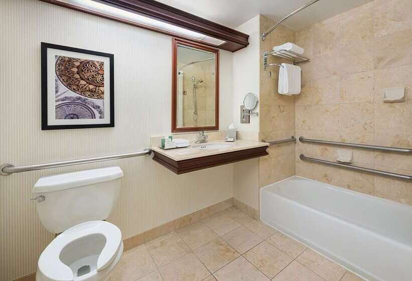 اتاق استاندارد برای معلولان, Hilton Houston Plaza/medical Center