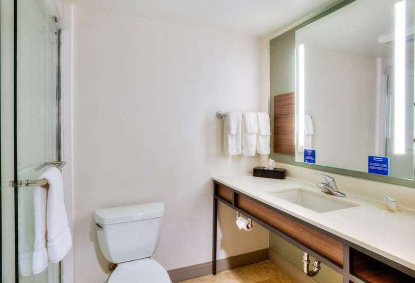 اتاق استاندارد, Hilton Houston Plaza/medical Center