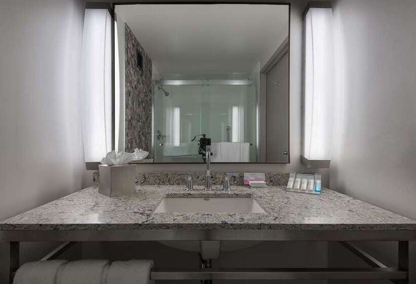 اتاق استاندارد, Hilton Houston Plaza/medical Center