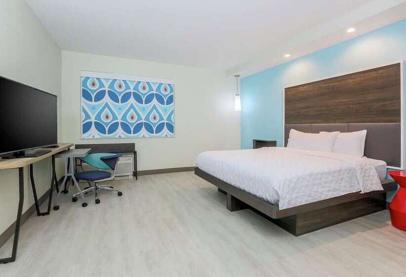 اتاق استاندارد با تخت بزرگ برای معلولان, Hilton Houston Plaza/medical Center