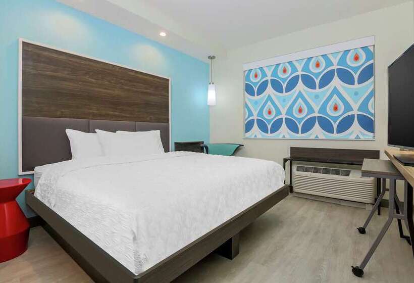 اتاق استاندارد با تخت بزرگ برای معلولان, Hilton Houston Plaza/medical Center
