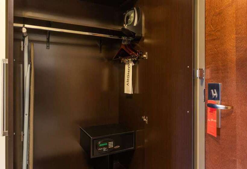 اتاق استاندارد با تخت بزرگ برای معلولان, Hilton Houston Plaza/medical Center