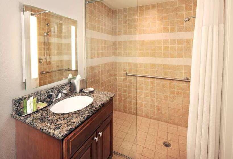 اتاق استاندارد با تخت بزرگ برای معلولان, Hilton Houston Plaza/medical Center