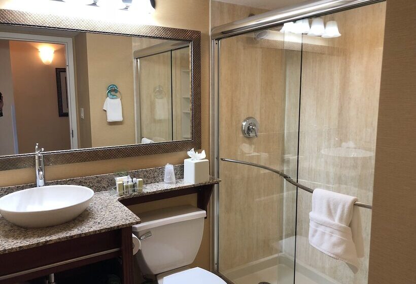 مجموعه ویستا شهر, Holiday Inn & Suites Clearwater Beach, An Ihg