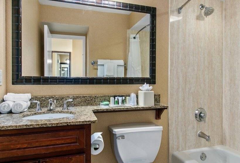 مجموعه ویستا شهر, Holiday Inn & Suites Clearwater Beach, An Ihg