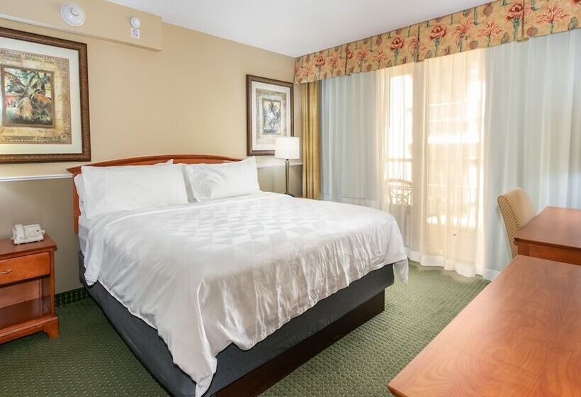 مجموعه ویستا شهر, Holiday Inn & Suites Clearwater Beach, An Ihg