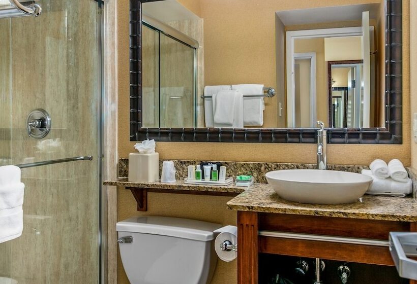 مجموعه ویستا شهر, Holiday Inn & Suites Clearwater Beach, An Ihg