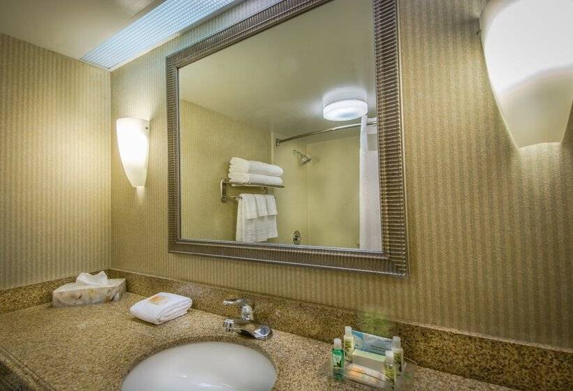 اتاق استاندارد, Holiday Inn Arlington At Ballston, An Ihg
