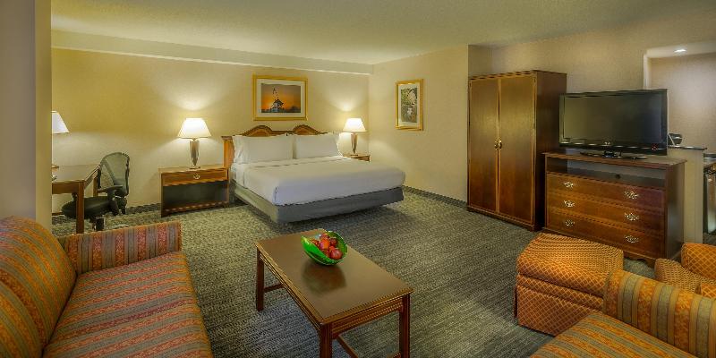 اتاق اجرایی با تخت بزرگ, Holiday Inn Arlington At Ballston