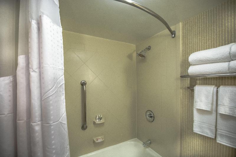 اتاق اجرایی با تخت بزرگ, Holiday Inn Arlington At Ballston, An Ihg