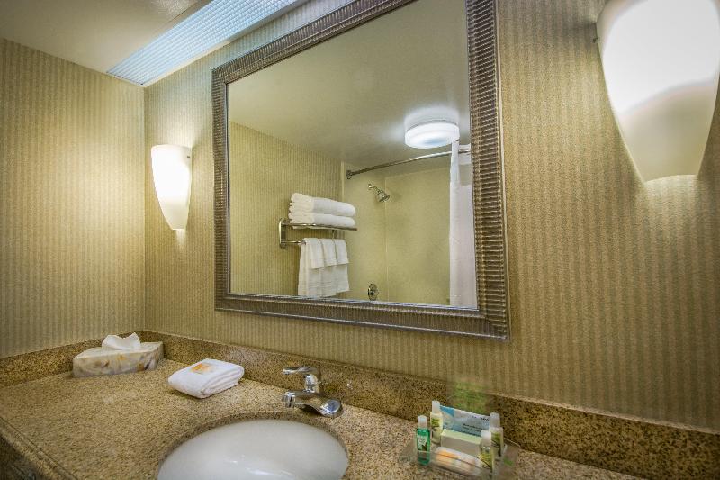 سوئیت با تخت بزرگ, Holiday Inn Arlington At Ballston, An Ihg