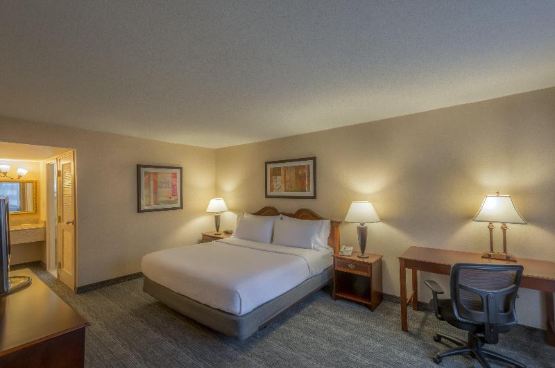 سوئیت با تخت بزرگ, Holiday Inn Arlington At Ballston, An Ihg