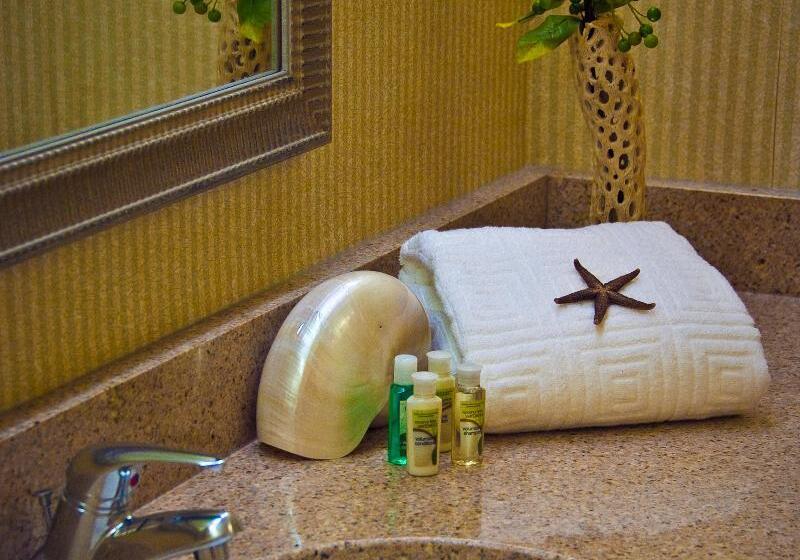 اتاق استاندارد برای معلولان, Holiday Inn Arlington At Ballston, An Ihg