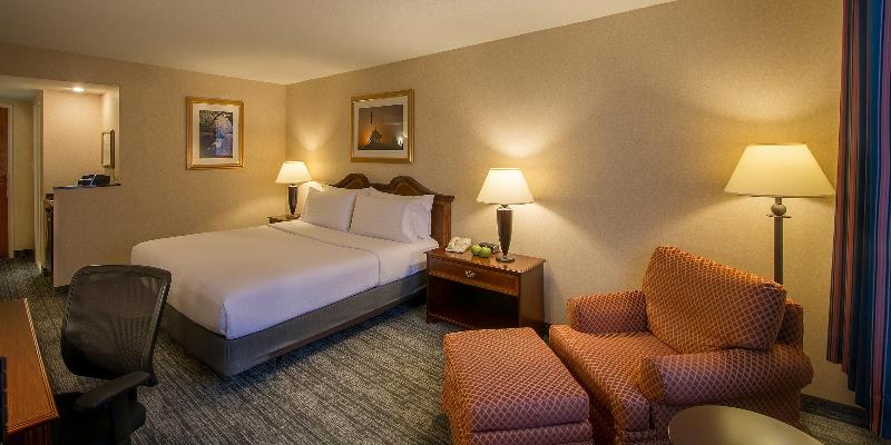اتاق استاندارد با تخت بزرگ, Holiday Inn Arlington At Ballston, An Ihg