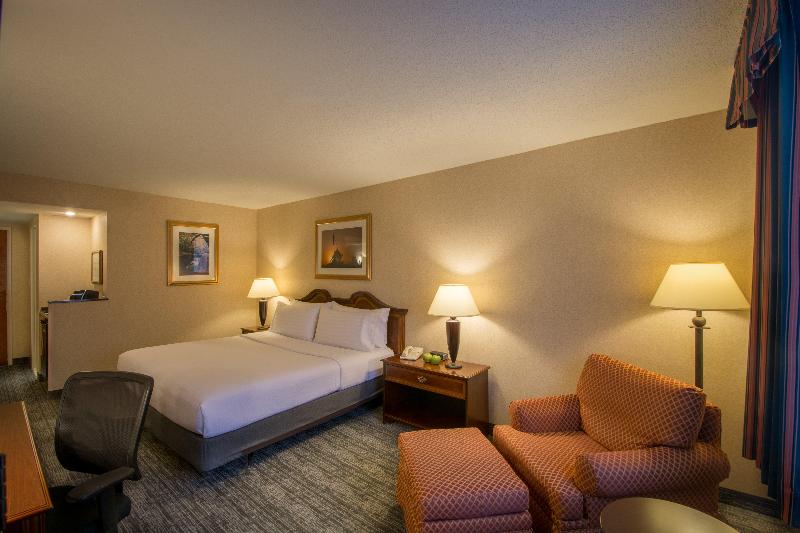 اتاق استاندارد با تخت بزرگ, Holiday Inn Arlington At Ballston, An Ihg