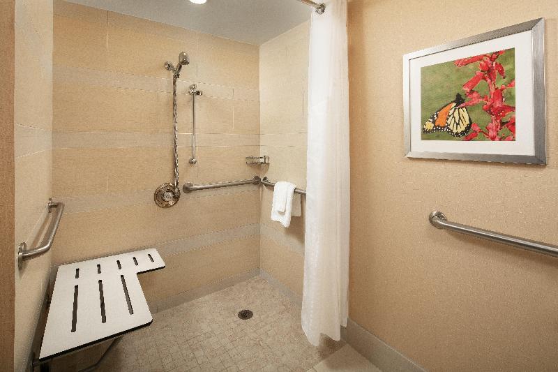 اتاق استاندارد برای معلولان, Holiday Inn Austin  Town Lake, An Ihg