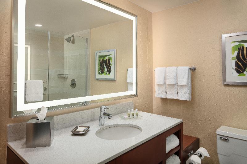 اتاق استاندارد با تخت بزرگ, Holiday Inn Austin  Town Lake, An Ihg