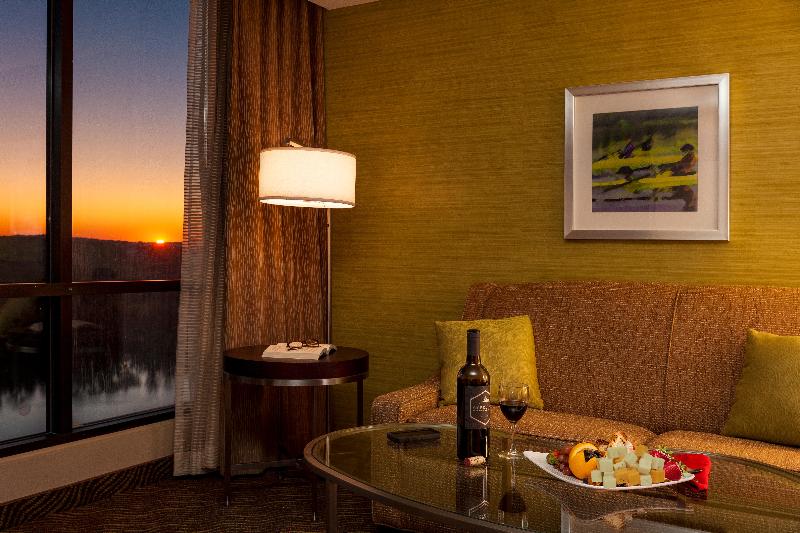 اتاق استاندارد با تخت بزرگ, Holiday Inn Austin  Town Lake, An Ihg