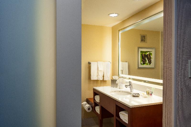اتاق استاندارد, Holiday Inn Austin  Town Lake, An Ihg