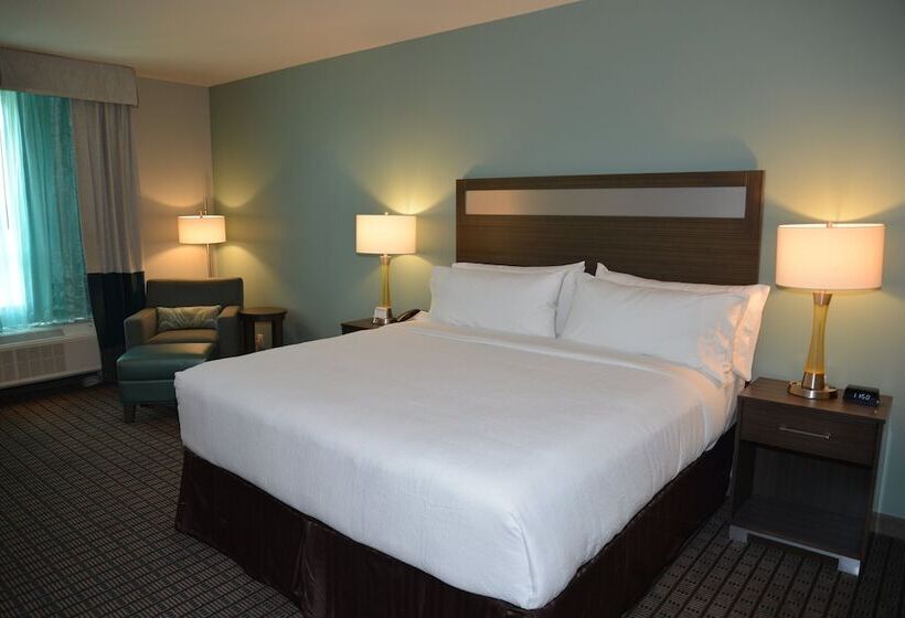 اتاق استاندارد با تخت دوبل, Holiday Inn Beaumont Eastmedical Ctr Area