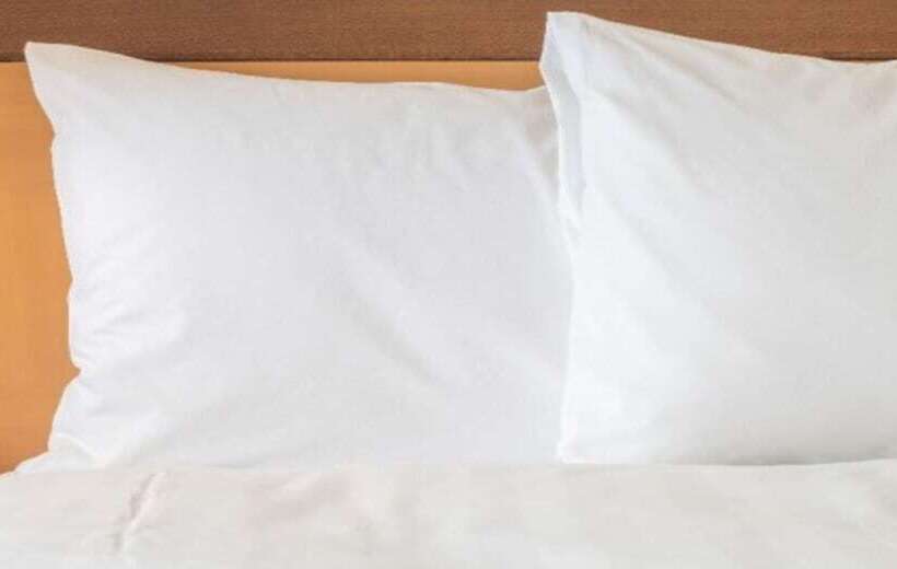اتاق استاندارد, Holiday Inn Charleston Riverview, An Ihg