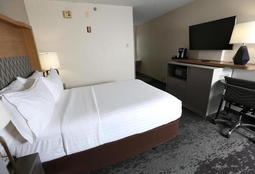 Standard Room Adapted for people with reduced mobility, Holiday Inn Chicago North Shore