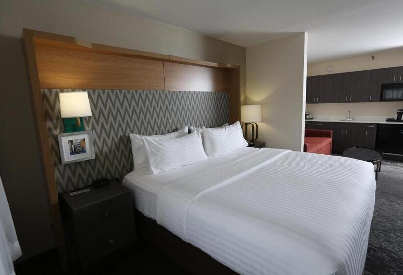 Estudio Estándar Cama King, Holiday Inn Chicago North Shore