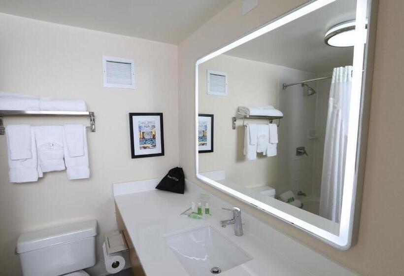 استودیو استاندارد با تخت کینگ, Holiday Inn Chicago North Shore, An Ihg