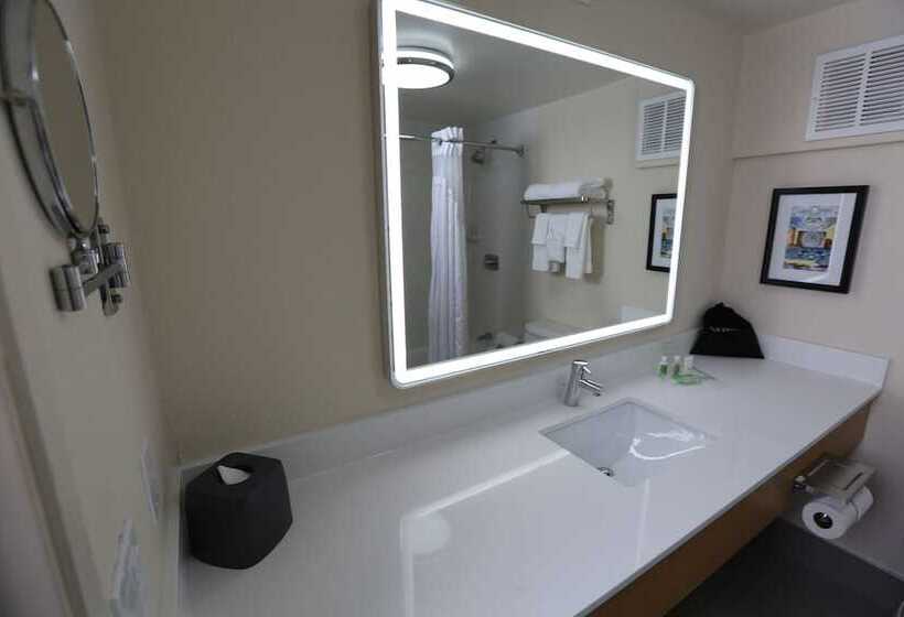 اتاق استاندارد, Holiday Inn Chicago North Shore, An Ihg