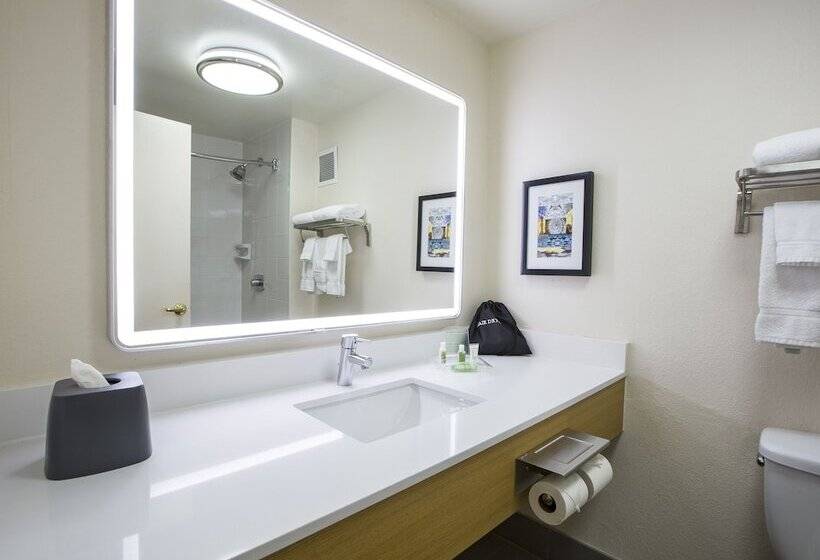 Quarto standard, Holiday Inn Chicago North Shore