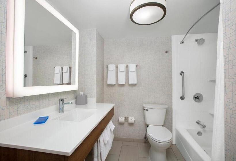 آپارتمان 2 خوابه, Holiday Inn Express Charleston Civic Center, An Ihg