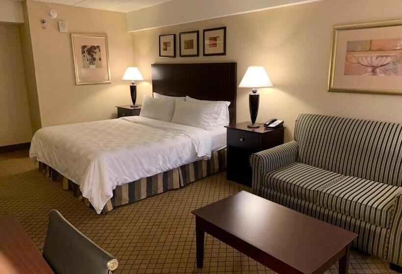 اتاق استاندارد با تخت بزرگ, Holiday Inn Johnstowndowntown