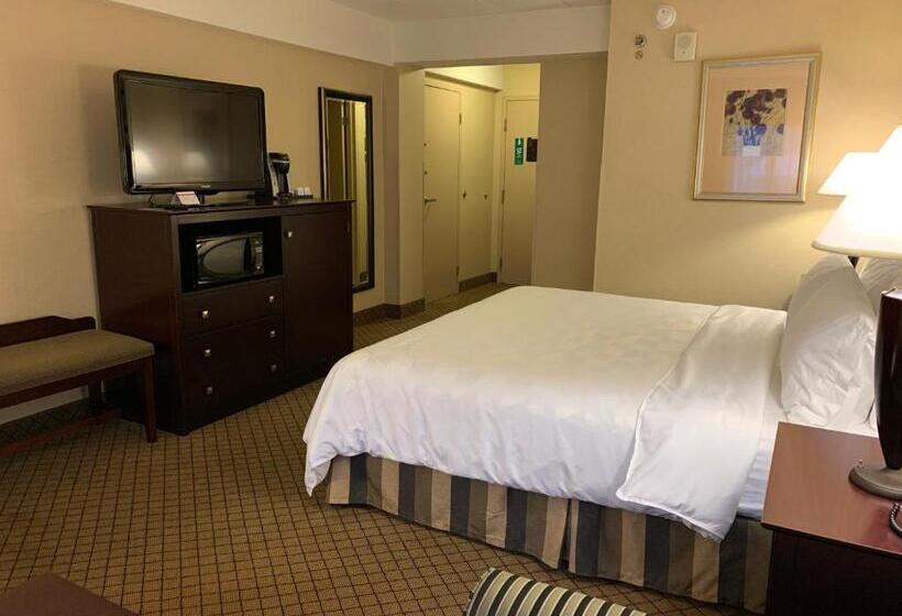 اتاق استاندارد با تخت بزرگ, Holiday Inn Johnstowndowntown