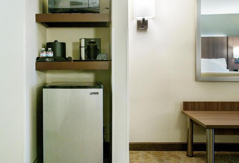 اتاق استاندارد با چشم‌انداز پارک, Holiday Inn Nashville Vanderbilt, An Ihg