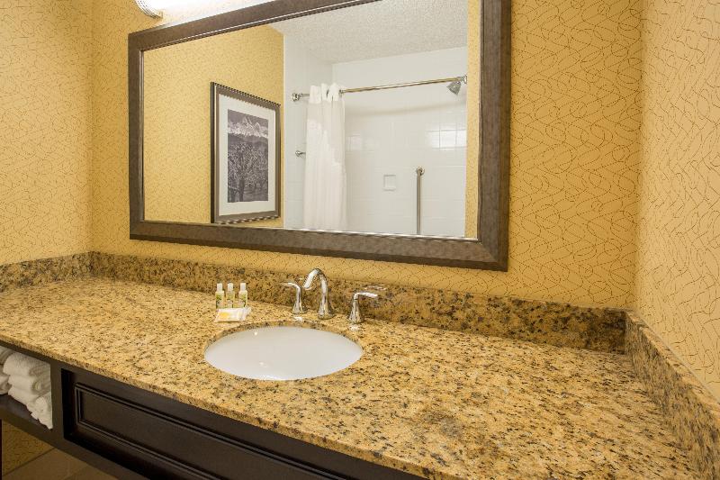 اتاق استاندارد با تخت بزرگ, Holiday Inn Portland Airport I 205, An Ihg