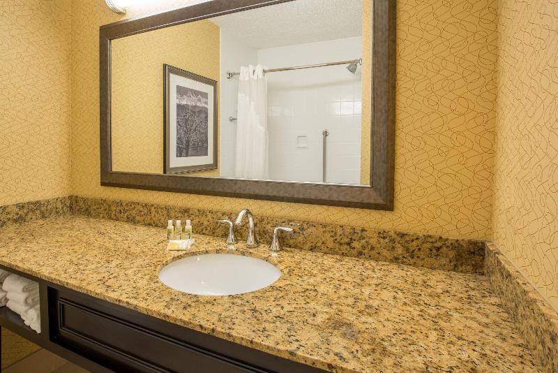 اتاق استاندارد با تخت بزرگ, Holiday Inn Portland Airport I 205, An Ihg